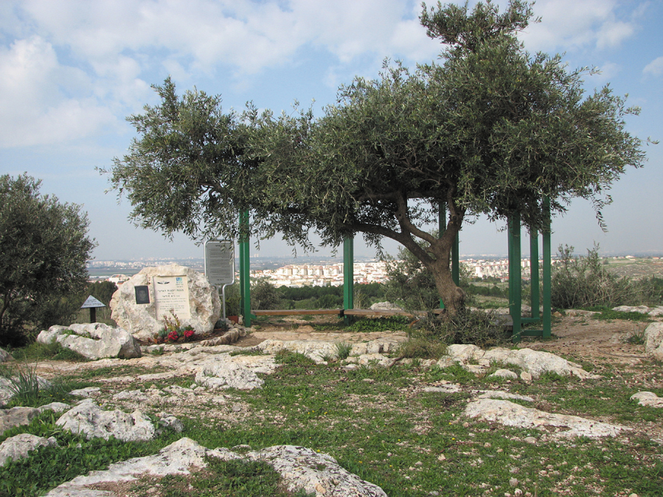 פינת ישיבה במצפה ביער שוהם