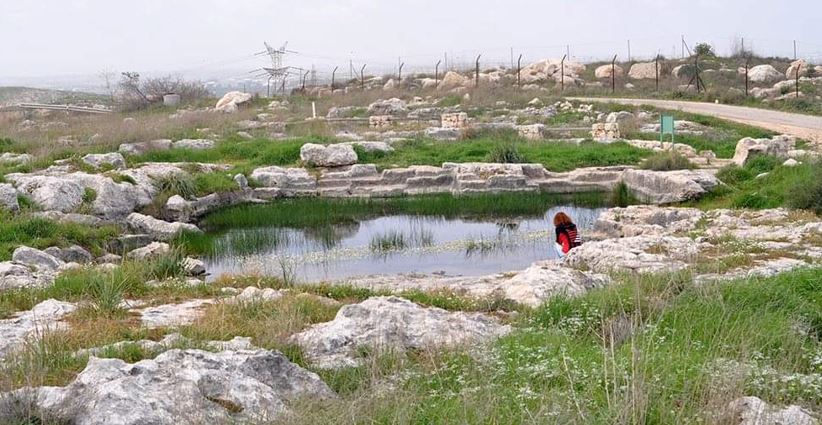 תמונה של בריכת מים בין סלעים וצמחיה