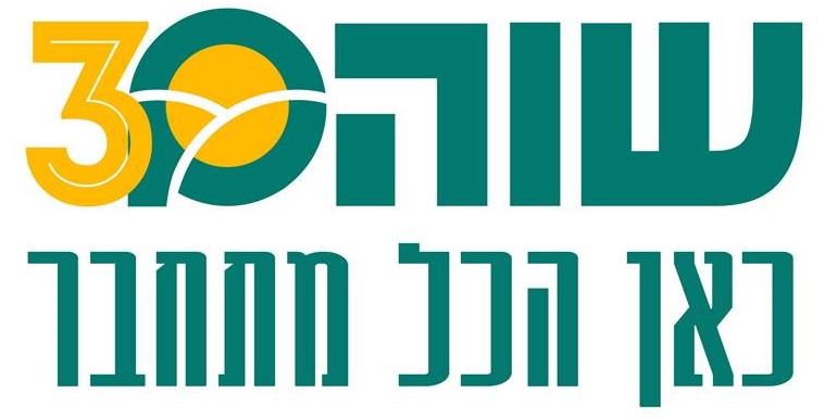 לוגו מועצה