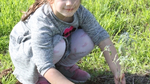 IMG_8442.JPG
