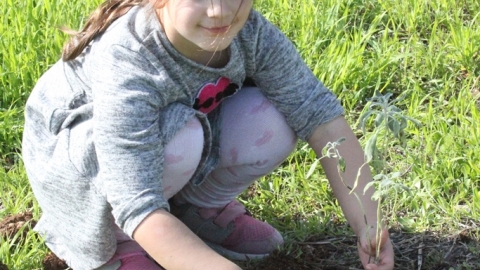IMG_8443.JPG