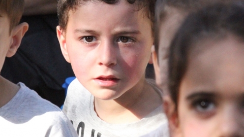 IMG_8517.JPG