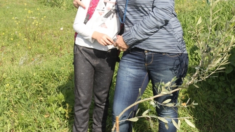 IMG_8843.JPG