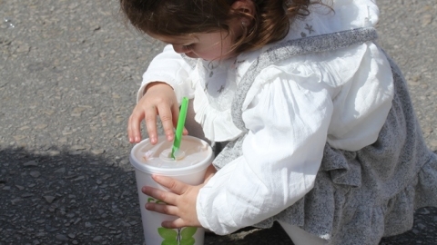IMG_9736.JPG